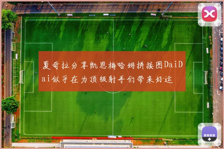 夏奇拉分享凯恩梅哈姆拼接图DaiDai似乎在为顶级射手们带来好运