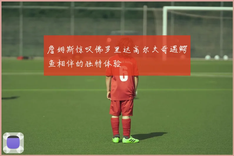 詹姆斯惊叹佛罗里达高尔夫奇遇鳄鱼相伴的独特体验